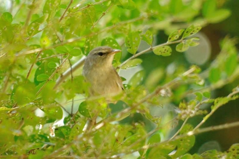 c0334250_22274649.jpg