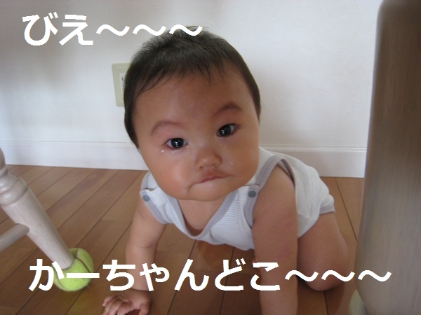 a0090451_12094531.jpg