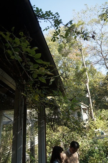 d0083761_19460291.jpg