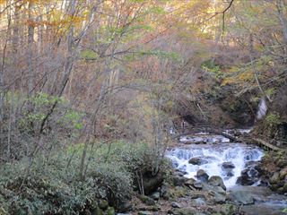 d0045362_103027.jpg