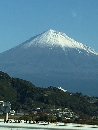 c0139168_1711052.jpg