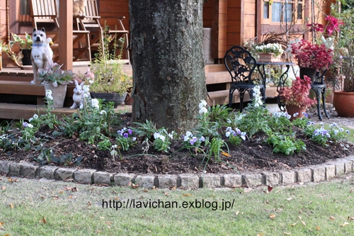 c0139168_1745013.jpg