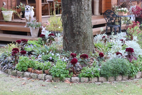 c0139168_1755879.jpg