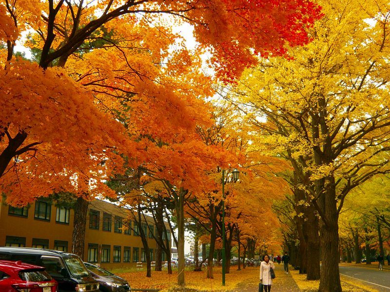 e0122168_20112339.jpg