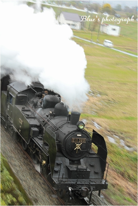 d0132769_12364470.jpg