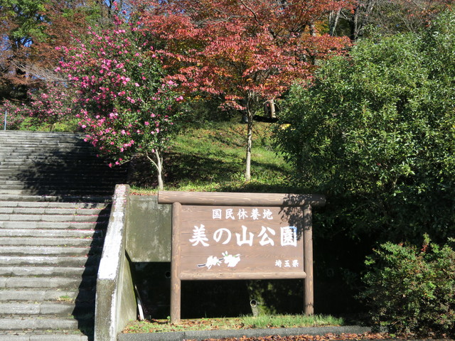 b0144174_1949548.jpg