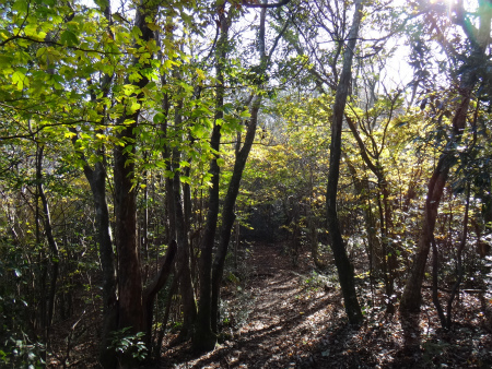 d0182075_02460181.jpg