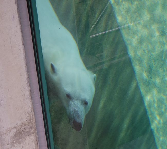 b0014576_18023218.jpg