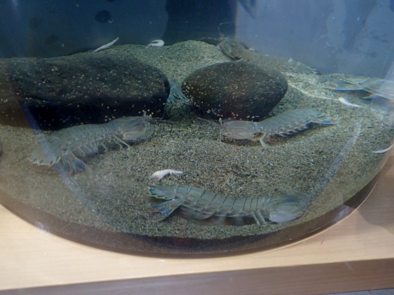 c0183777_1859151.jpg