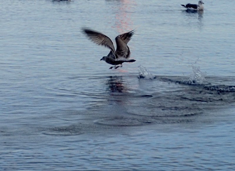 c0183777_200264.jpg