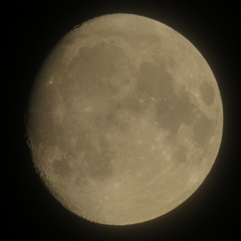 c0183777_20323716.jpg