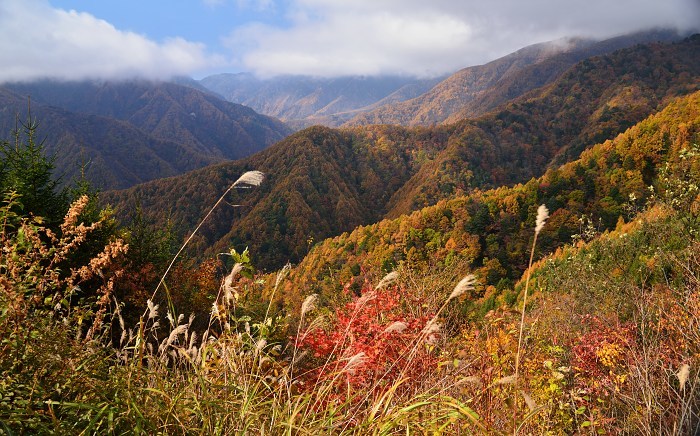 d0341880_07445253.jpg
