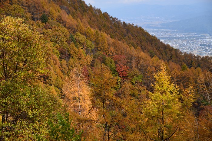 d0341880_07471907.jpg