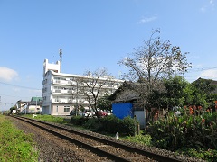e0130185_13405813.jpg