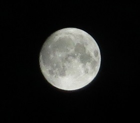 e0130185_22503320.jpg