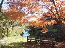 e0155085_17361231.jpg