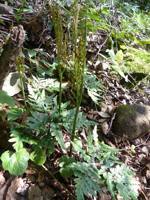 f0357487_21114066.jpg