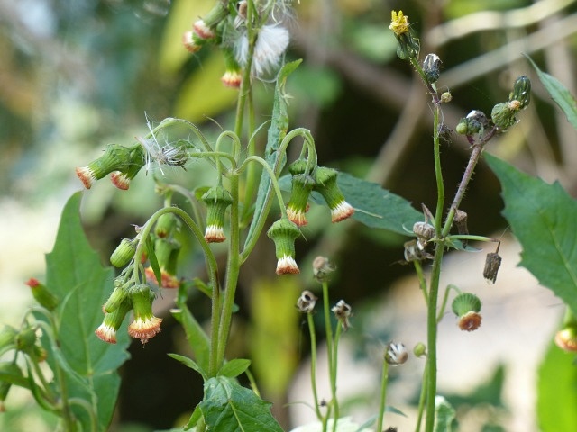 f0357487_21144945.jpg