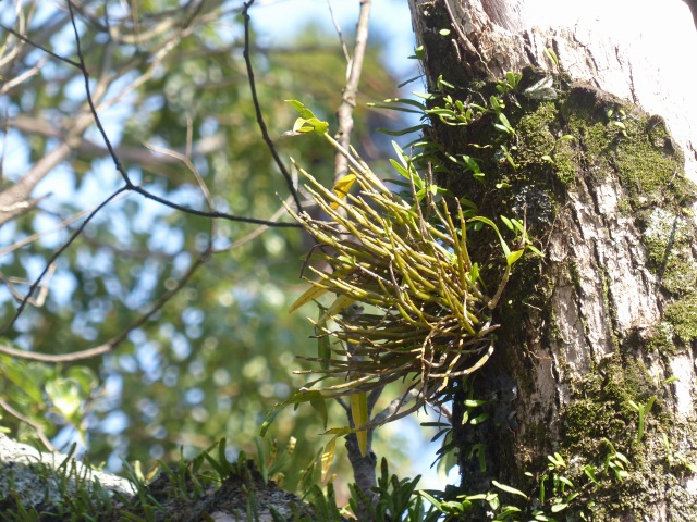 f0357487_21172239.jpg