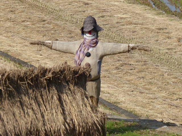 f0357487_2120922.jpg