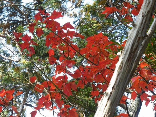 f0357487_2134822.jpg