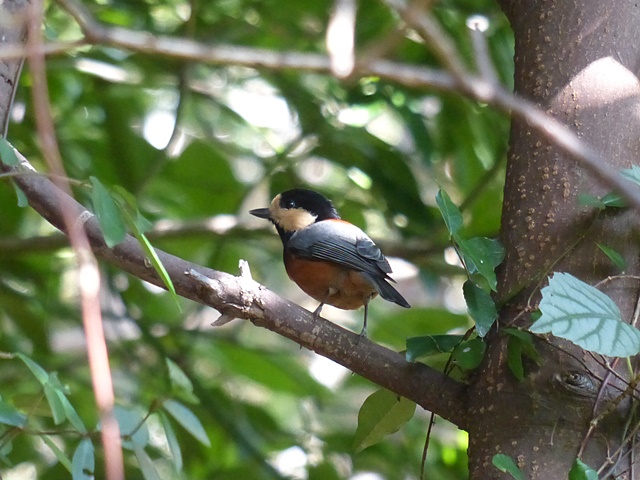 f0357487_2172584.jpg