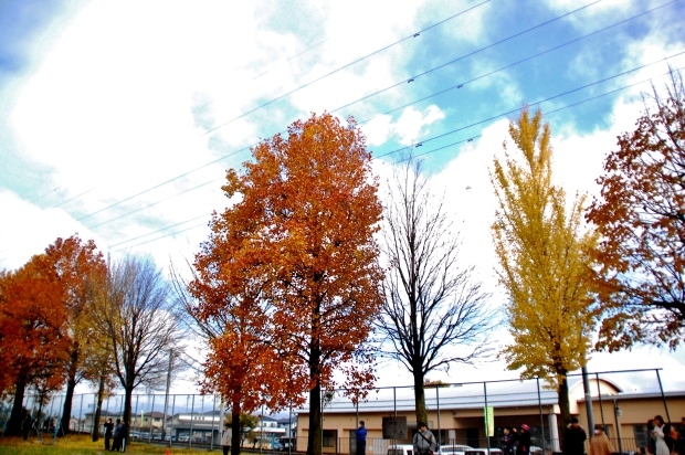 c0246290_00522550.jpg