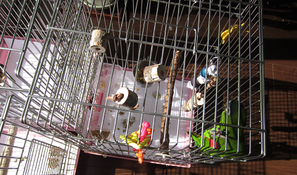 f0234590_1041147.png