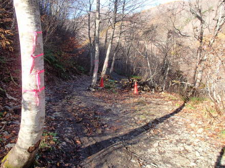 e0211293_19391500.jpg