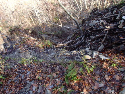 e0211293_19402774.jpg