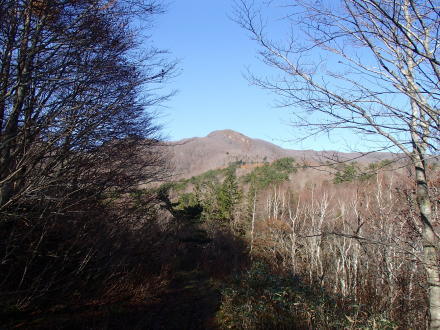 e0211293_19433528.jpg
