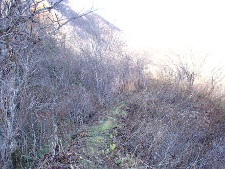 e0211293_19444802.jpg