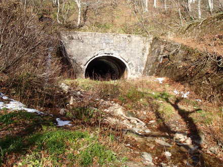 e0211293_19460921.jpg