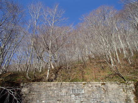 e0211293_19472945.jpg