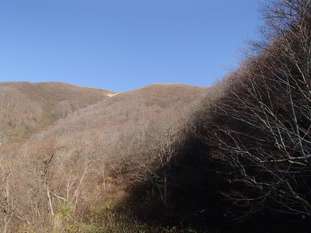 e0211293_20084767.jpg