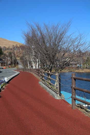 c0090198_1946551.jpg