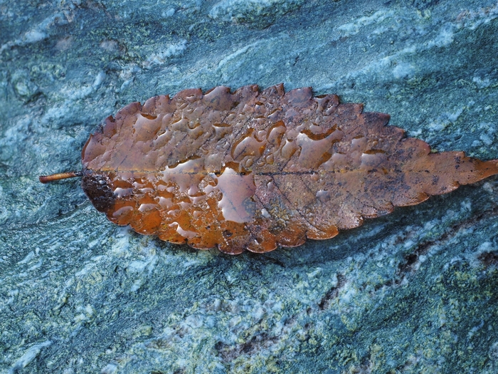 f0224100_1350888.jpg