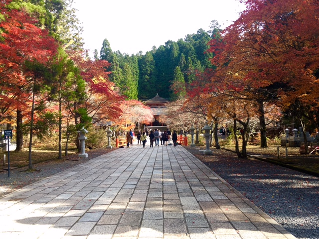 a0050302_12343387.jpg