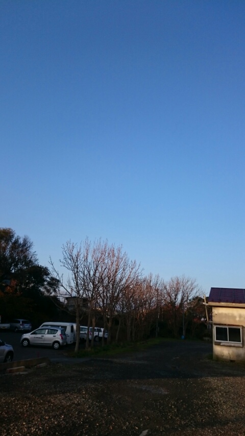 d0149105_7134960.jpg