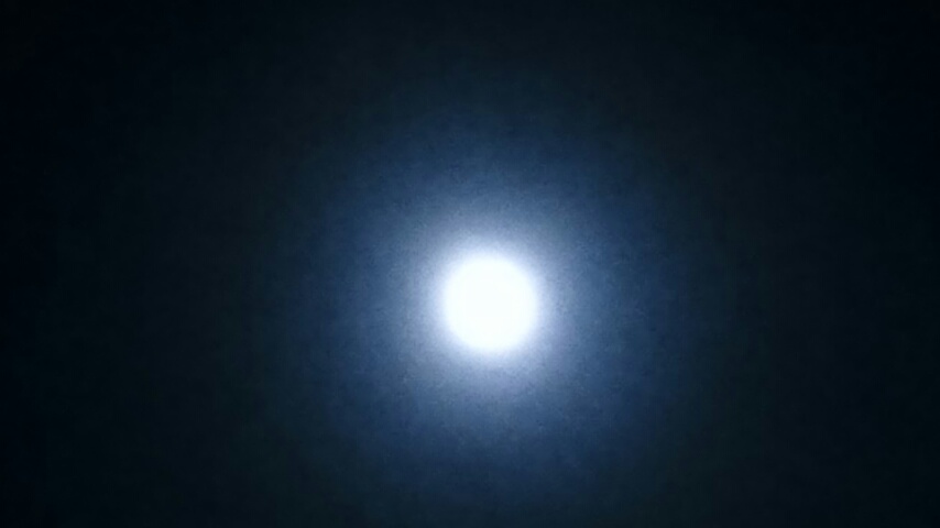 d0149105_713497.jpg