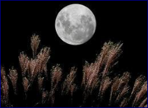 f0231709_1511181.png
