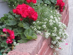 f0325309_18281217.jpg