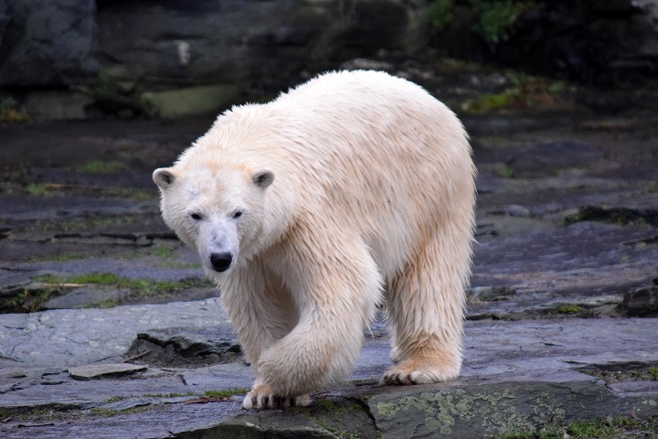 a0151913_3471939.jpg