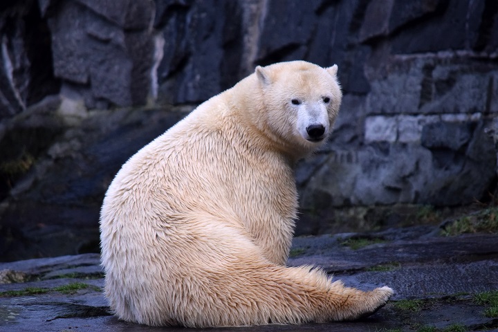 a0151913_348522.jpg