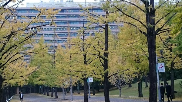 e0350415_22153468.jpg