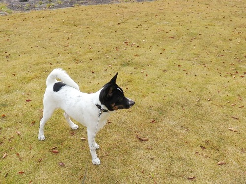 c0084117_20142251.jpg
