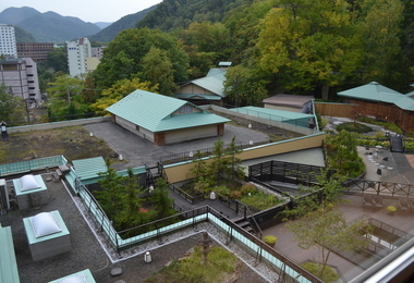 b0121019_17320170.jpg