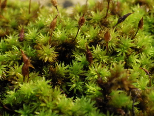 e0352220_13524507.jpg