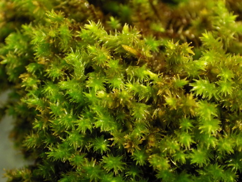 e0352220_14263530.jpg