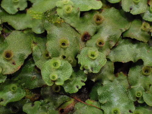 e0352220_14291386.jpg